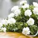 servicii funerale bucuresti