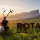Motocoasă Rotakt