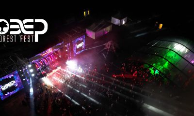 Deep Forest Fest